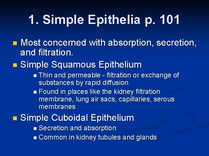 1. Simple Epithelia p. 101 Most concerned with absorption, secretion, and filtration. n Simple