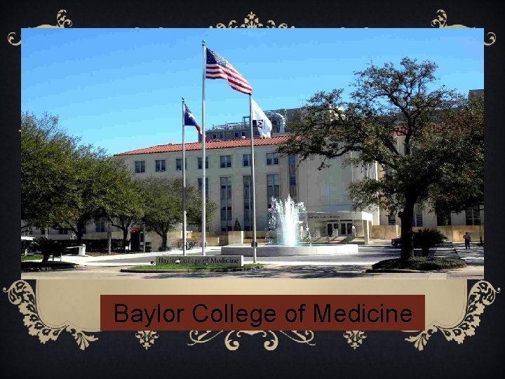 Baylor College of Medicine 