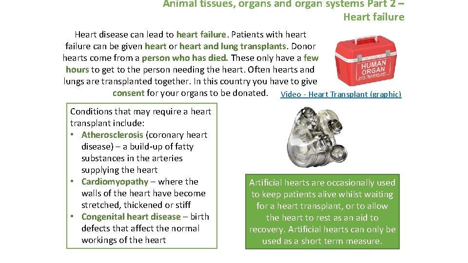 Animal tissues, organs and organ systems Part 2 – Heart failure Heart disease can