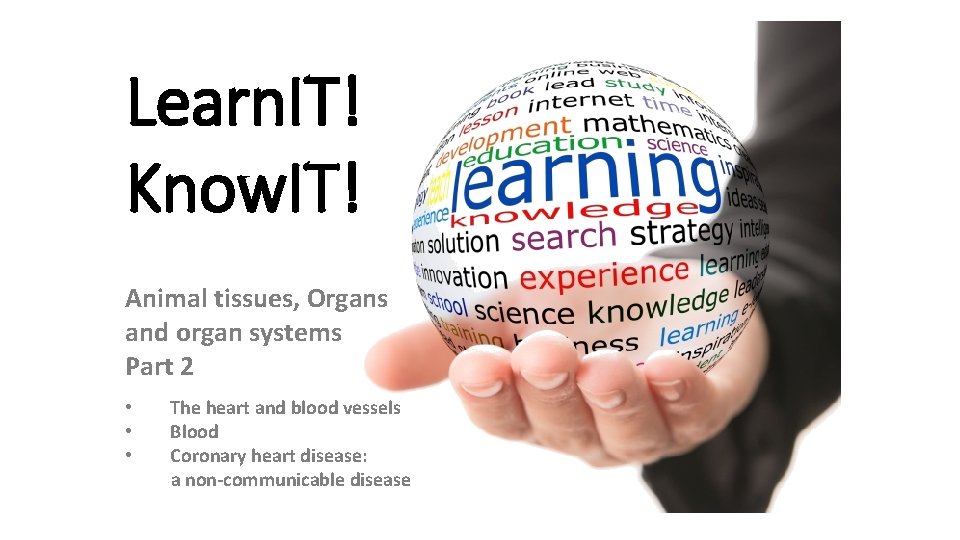 Learn. IT! Know. IT! Animal tissues, Organs and organ systems Part 2 • •