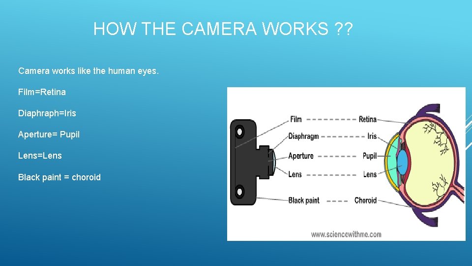 HOW THE CAMERA WORKS ? ? Camera works like the human eyes. Film=Retina Diaphraph=Iris