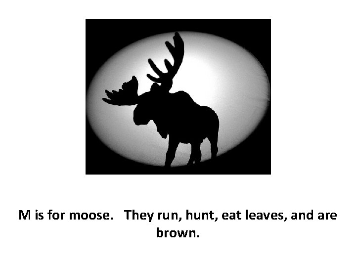 M is for moose. They run, hunt, eat leaves, and are brown. 