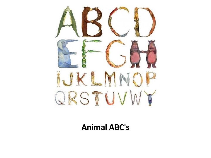 Animal ABC's 