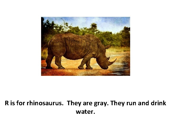 R is for rhinosaurus. They are gray. They run and drink water. 