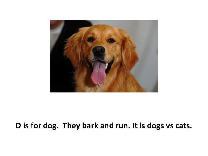 D is for dog. They bark and run. It is dogs vs cats. 