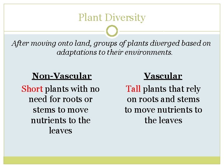 Plant Diversity After moving onto land, groups of plants diverged based on adaptations to