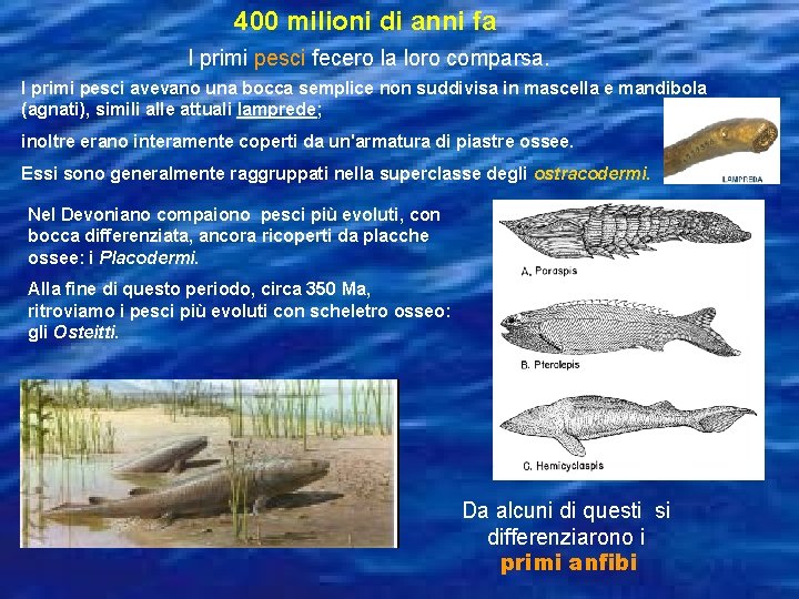 400 milioni di anni fa I primi pesci fecero la loro comparsa. I primi