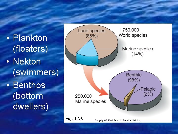  • Plankton (floaters) • Nekton (swimmers) • Benthos (bottom dwellers) Fig. 12. 6