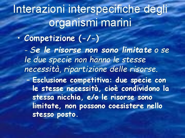 Interazioni interspecifiche degli organismi marini • Competizione (-/-) - Se le risorse non sono