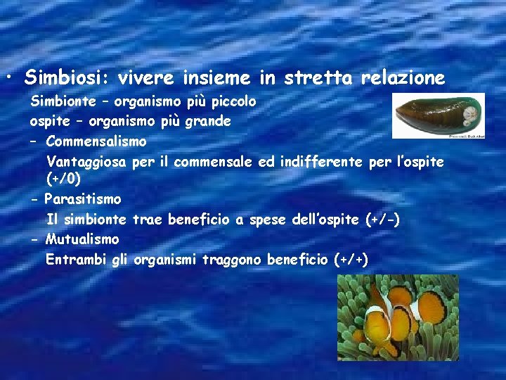  • Simbiosi: vivere insieme in stretta relazione Simbionte – organismo più piccolo ospite