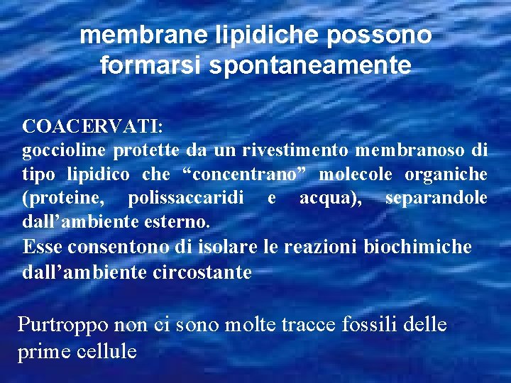 membrane lipidiche possono formarsi spontaneamente COACERVATI: goccioline protette da un rivestimento membranoso di tipo