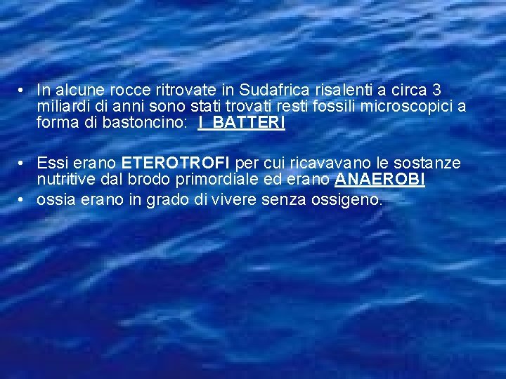  • In alcune rocce ritrovate in Sudafrica risalenti a circa 3 miliardi di