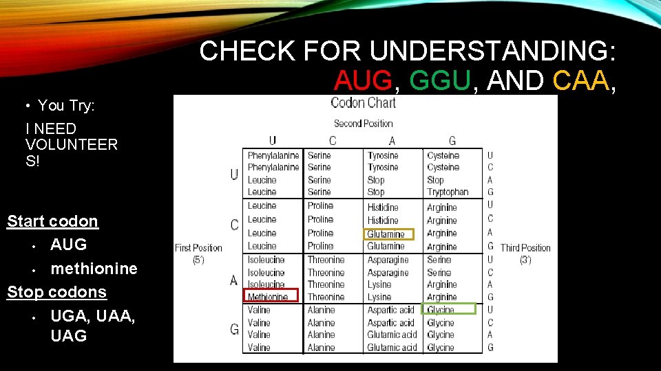 CHECK FOR UNDERSTANDING: AUG, GGU, AND CAA, • You Try: I NEED VOLUNTEER S! CHECK FOR UNDERSTANDING: AUG, GGU, AND CAA, • You Try: I NEED VOLUNTEER S!