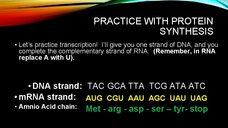 PRACTICE WITH PROTEIN SYNTHESIS • Let’s practice transcription! I’ll give you one strand of PRACTICE WITH PROTEIN SYNTHESIS • Let’s practice transcription! I’ll give you one strand of