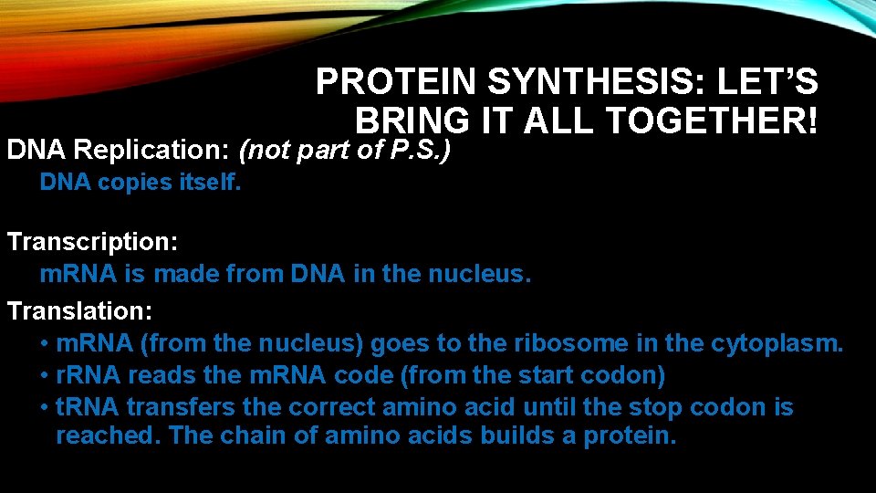 PROTEIN SYNTHESIS: LET’S BRING IT ALL TOGETHER! DNA Replication: (not part of P. S. PROTEIN SYNTHESIS: LET’S BRING IT ALL TOGETHER! DNA Replication: (not part of P. S.