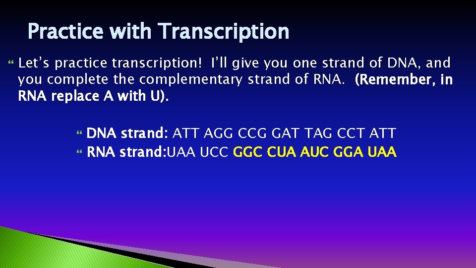 Practice with Transcription Let’s practice transcription! I’ll give you one strand of DNA, and Practice with Transcription Let’s practice transcription! I’ll give you one strand of DNA, and