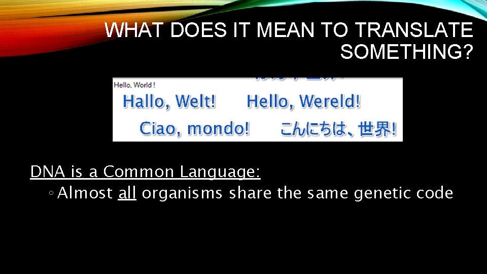 WHAT DOES IT MEAN TO TRANSLATE SOMETHING? DNA is a Common Language: ◦ Almost WHAT DOES IT MEAN TO TRANSLATE SOMETHING? DNA is a Common Language: ◦ Almost
