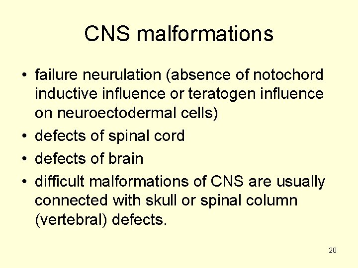 CNS malformations • failure neurulation (absence of notochord inductive influence or teratogen influence on