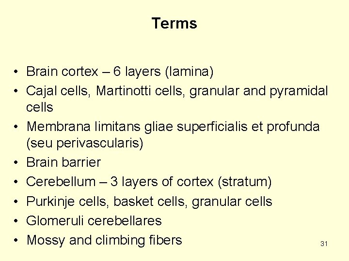 Terms • Brain cortex – 6 layers (lamina) • Cajal cells, Martinotti cells, granular
