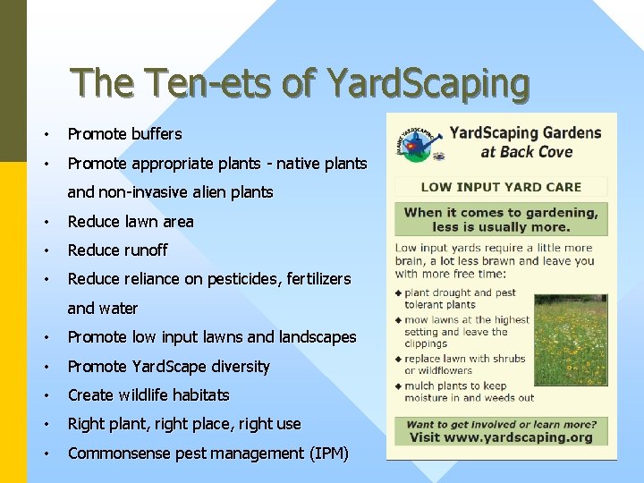 The Ten-ets of Yard. Scaping • Promote buffers • Promote appropriate plants - native