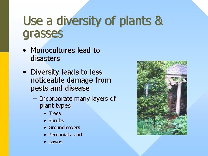 Use a diversity of plants & grasses • Monocultures lead to disasters • Diversity