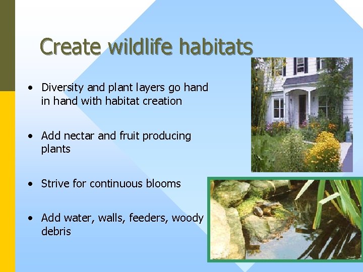 Create wildlife habitats • Diversity and plant layers go hand in hand with habitat