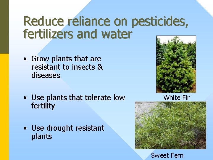 Reduce reliance on pesticides, fertilizers and water • Grow plants that are resistant to