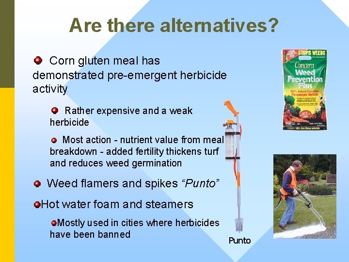 Are there alternatives? Corn gluten meal has demonstrated pre-emergent herbicide activity Rather expensive and
