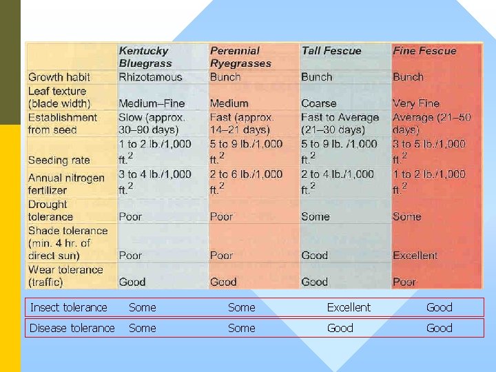 Insect tolerance Some Excellent Good Disease tolerance Some Good 