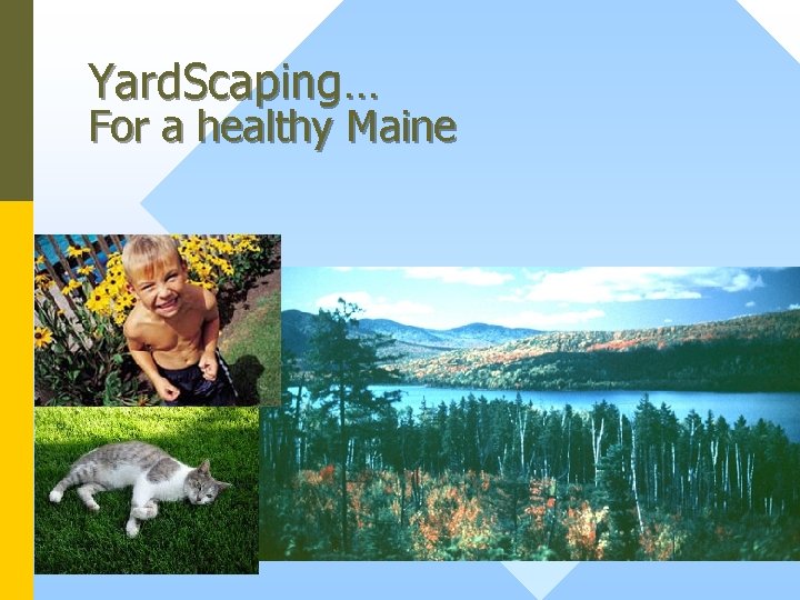Yard. Scaping… For a healthy Maine 