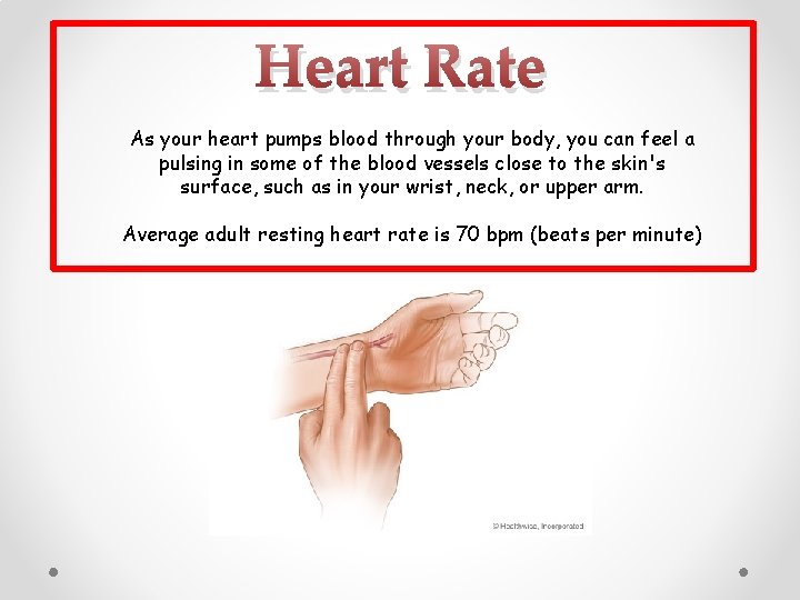 Heart Rate As your heart pumps blood through your body, you can feel a