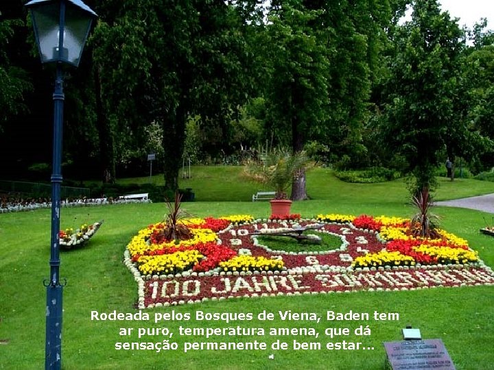 Rodeada pelos Bosques de Viena, Baden tem ar puro, temperatura amena, que dá sensação