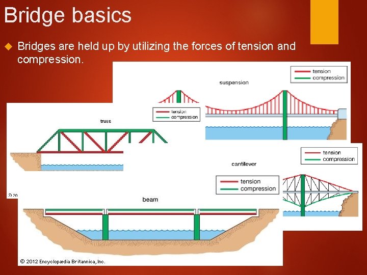 Bridge basics Bridges are held up by utilizing the forces of tension and compression.