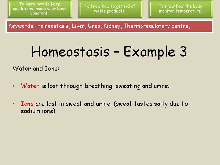 Keywords: Homeostasis, Liver, Urea, Kidney, Thermoregulatory centre, Homeostasis – Example 3 Water and Ions: