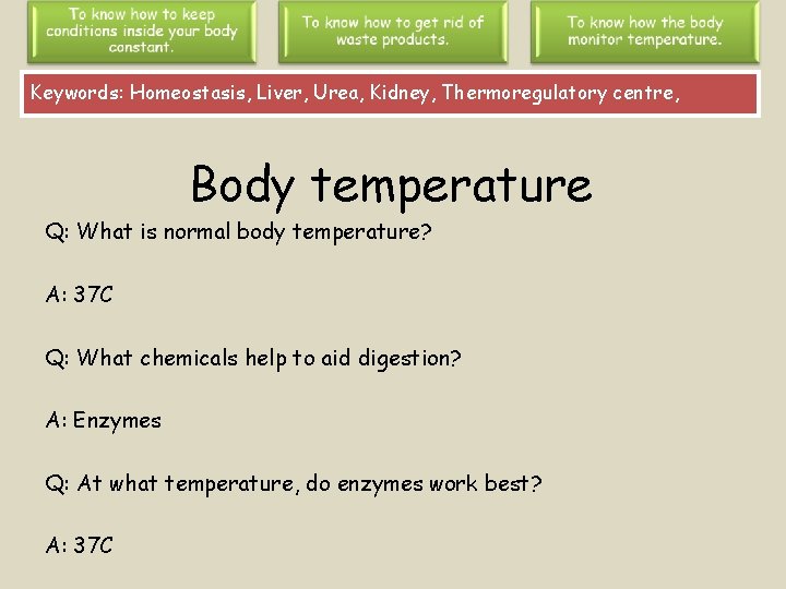 Keywords: Homeostasis, Liver, Urea, Kidney, Thermoregulatory centre, Body temperature Q: What is normal body