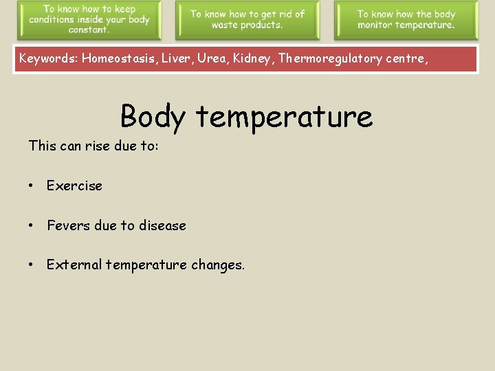 Keywords: Homeostasis, Liver, Urea, Kidney, Thermoregulatory centre, Body temperature This can rise due to: