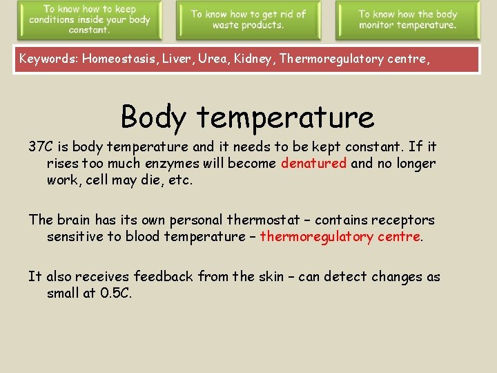 Keywords: Homeostasis, Liver, Urea, Kidney, Thermoregulatory centre, Body temperature 37 C is body temperature