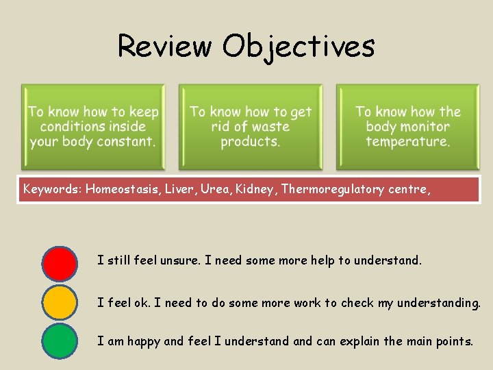 Review Objectives Keywords: Homeostasis, Liver, Urea, Kidney, Thermoregulatory centre, I still feel unsure. I