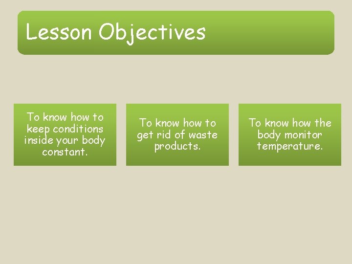 Lesson Objectives To know how to keep conditions inside your body constant. To know