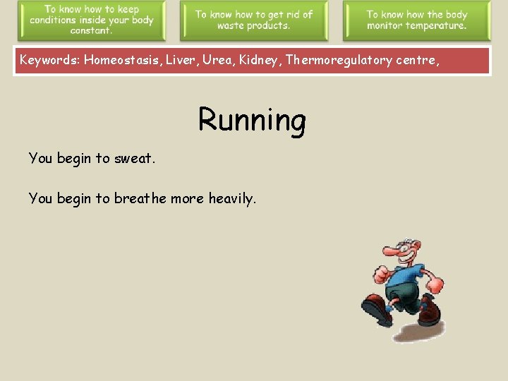 Keywords: Homeostasis, Liver, Urea, Kidney, Thermoregulatory centre, Running You begin to sweat. You begin