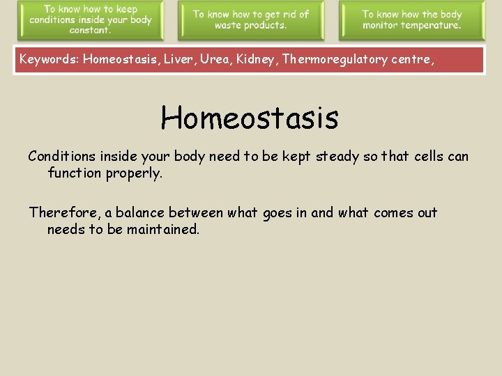 Keywords: Homeostasis, Liver, Urea, Kidney, Thermoregulatory centre, Homeostasis Conditions inside your body need to