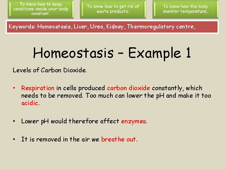 Keywords: Homeostasis, Liver, Urea, Kidney, Thermoregulatory centre, Homeostasis – Example 1 Levels of Carbon