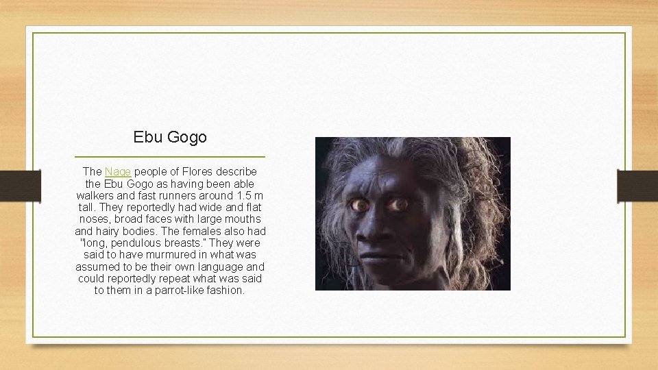 Ebu Gogo The Nage people of Flores describe the Ebu Gogo as having been