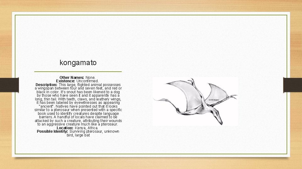 kongamato Other Names: None. Existence: Unconfirmed. Description: This large, flighted animal possesses a wingspan