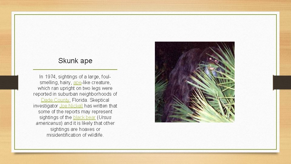 Skunk ape In 1974, sightings of a large, foulsmelling, hairy, ape-like creature, which ran