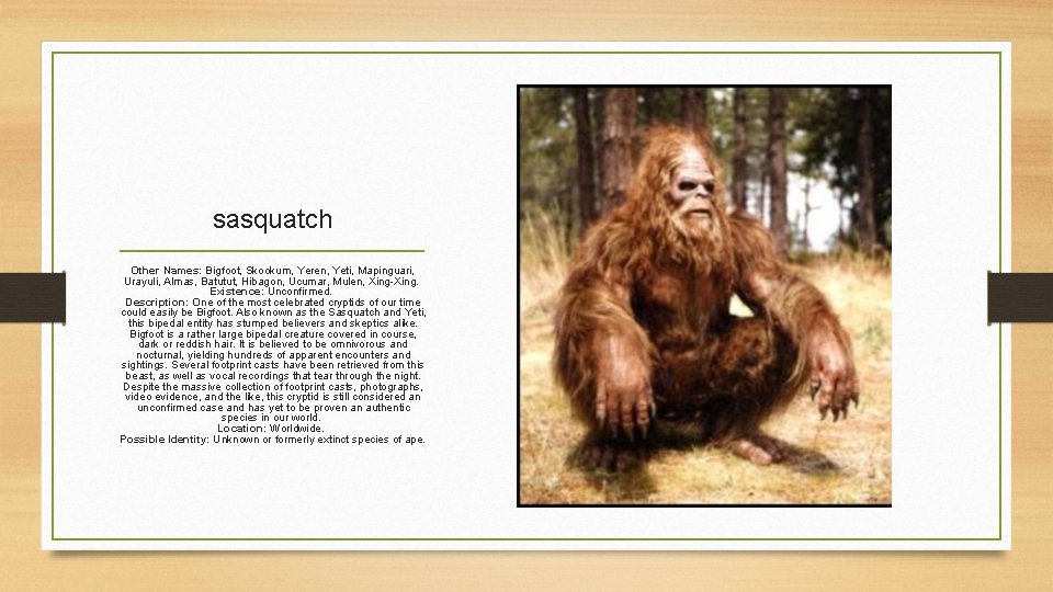 sasquatch Other Names: Bigfoot, Skookum, Yeren, Yeti, Mapinguari, Urayuli, Almas, Batutut, Hibagon, Ucumar, Mulen,