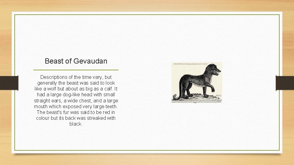 Beast of Gevaudan Descriptions of the time vary, but generally the beast was said