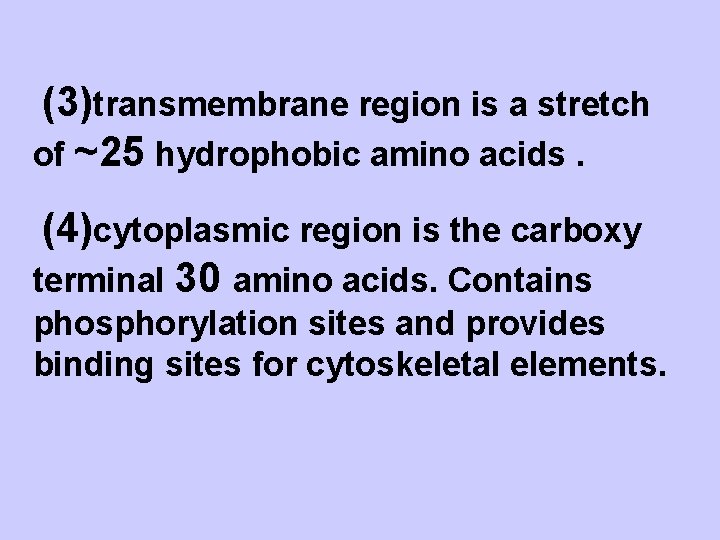 (3)transmembrane region is a stretch of ~25 hydrophobic amino acids. (4)cytoplasmic region is the