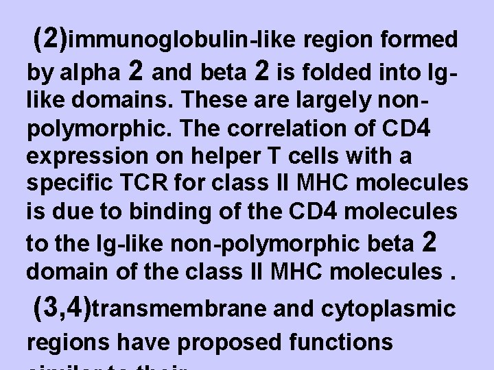 (2)immunoglobulin-like region formed by alpha 2 and beta 2 is folded into Iglike domains.