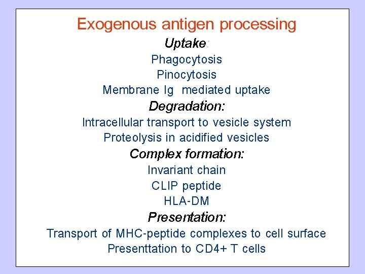 Exogenous antigen processing Uptake: Phagocytosis Pinocytosis Membrane Ig mediated uptake Degradation: Intracellular transport to